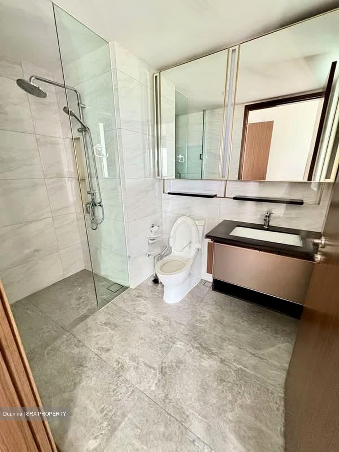 Normanton Park (D5), Apartment #567701091